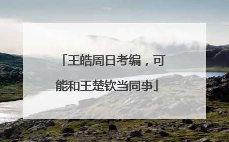 王皓周日考编，可能和王楚钦当同事